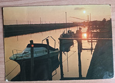 Cartolina 1981 italia usato  Benevento