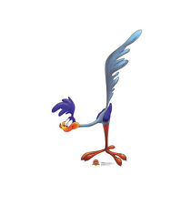 Road runner looney for sale  Salem