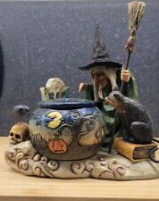 Jim shore witch for sale  Fort Pierce