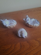 Vintage lovely kittens for sale  UK