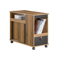Aktenschrank aktenschrankwagen gebraucht kaufen  Norderstedt