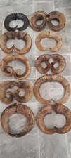 Pairs ram horns for sale  CHIPPENHAM