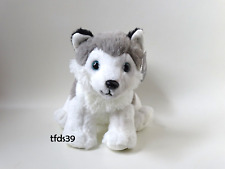 Galeria hund husky gebraucht kaufen  Deutschland