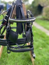 Leather driving harness for sale  CHEPSTOW