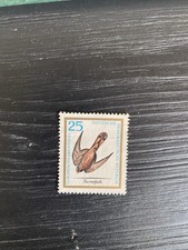 1150 europ greifvögel gebraucht kaufen  Dörpen