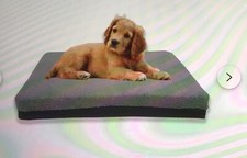 Dog bed replacement for sale  EDINBURGH