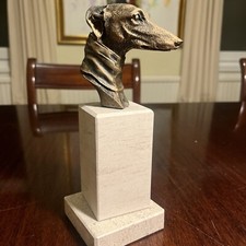 Whippet greyhound dog for sale  TIDWORTH