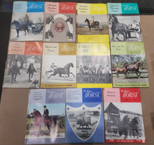 morgan magazine horse for sale morgan magazine horse for sale Sedro Woolley