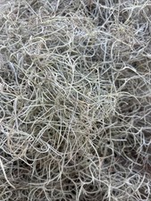 Pounds natural spanish for sale  New Bern