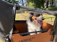 Baboe lastenfahrrad gebraucht kaufen  Köln