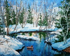 Winter landschaft ente gebraucht kaufen  Waghäusel