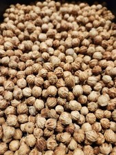King palm seeds for sale  Forest