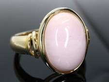 Goldjunge69 terra palis gebraucht kaufen  Rüsselsheim am Main