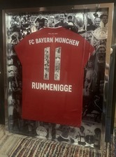Limitierter trikotrahmen . gebraucht kaufen  Türkenfeld