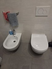 Sanitari flaminia app usato  Torri del Benaco