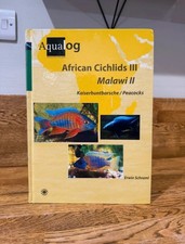 African cichlids 03. for sale  WOKINGHAM