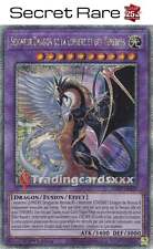 Seigneur dragon lumière d'occasion  France