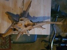 Schönes stück wurzelholz gebraucht kaufen  Stadtoldendorf