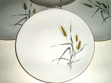Assiettes plates porcelaine d'occasion  Adriers