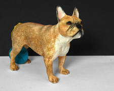 French bulldog dog for sale  RYDE