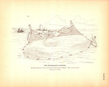 Menhaden pursing seine for sale  Navarre