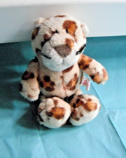 Nici leopard gefleckt gebraucht kaufen  Erlangen