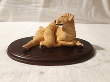 Teviotdale dogs tom for sale  DOWNHAM MARKET