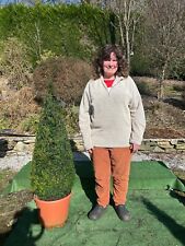 Box evergreen topiary for sale  MACCLESFIELD