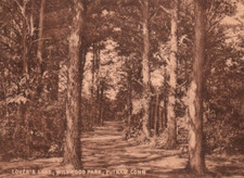 Putnam connecticut wildwood for sale  Greenwich