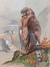 archibald thorburn for sale  UK
