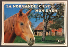 Carte postale humoristique d'occasion  France