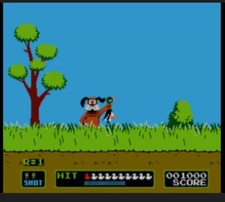 Duck hunt multi usato  Castiglione di Sicilia
