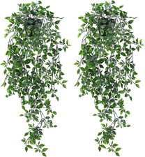 Pezzi edera finta usato Pezzi edera finta usato  Roma