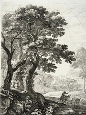 Ane anier paysage d'occasion  Pluvigner