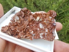 Minerali barite siderite usato  Buggiano