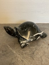 Tortoise black zebra for sale Tortoise black zebra for sale  KEIGHLEY