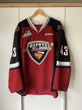 Game worn nhl gebraucht kaufen  Rehling