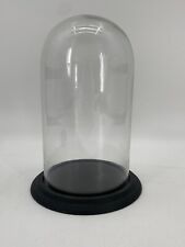 Glasglocke kuppel glassturz gebraucht kaufen  Berlin