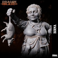 Dwarf birna wargames usato  Ragusa