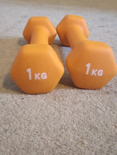 Opti dumbbells x for sale  CHELTENHAM