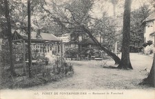 Foret fontainebleau 49608 d'occasion  Expédié en Belgium
