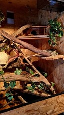 Terrarium 160x120x50 gebraucht kaufen  Westensee