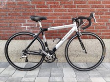 Kleines 50cm gazelle gebraucht kaufen  Bocholt