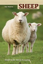 Sheep small scale for sale  UK
