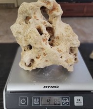 Texas limestone holey for sale  Texarkana