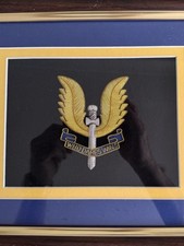 Framed sas winged for sale  CARDIFF
