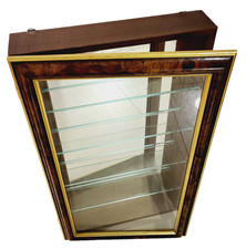 Wandvitriene schaukasten dekor gebraucht kaufen Wandvitriene schaukasten dekor gebraucht kaufen  Altensteig