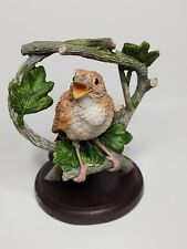 Nightingale country bird for sale  TORPOINT