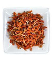Pétalas de Dagga Selvagem (Leonotis leonurus - Cauda de Leão) Orgânicas Sem Pesticidas A+++ comprar usado  Enviando para Brazil