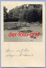 Foto sturm maginot gebraucht kaufen  Bodenwerder